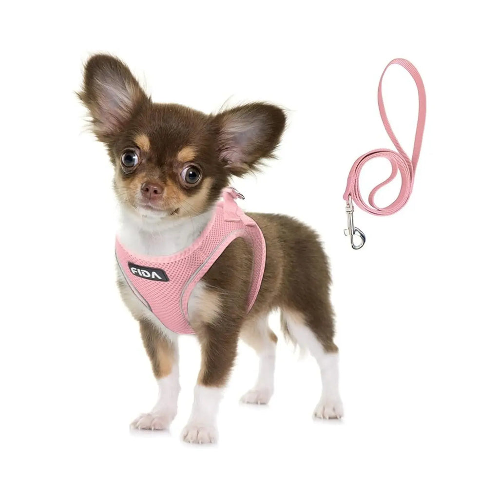 FIDA Cat Harness and Leash Set for Walking Kitten and Puppy FIDA