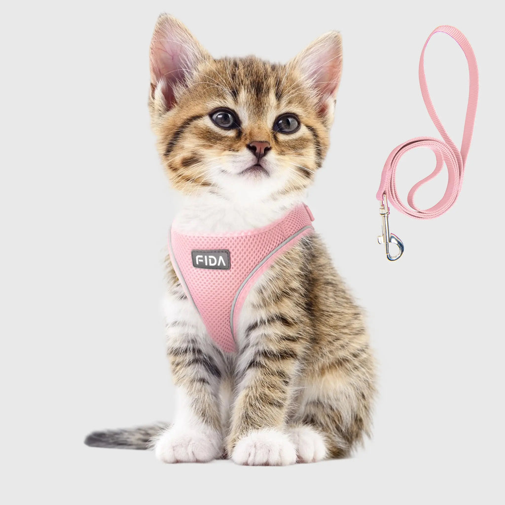 FIDA Kitten & Puppy Harness and Leash Set FIDA