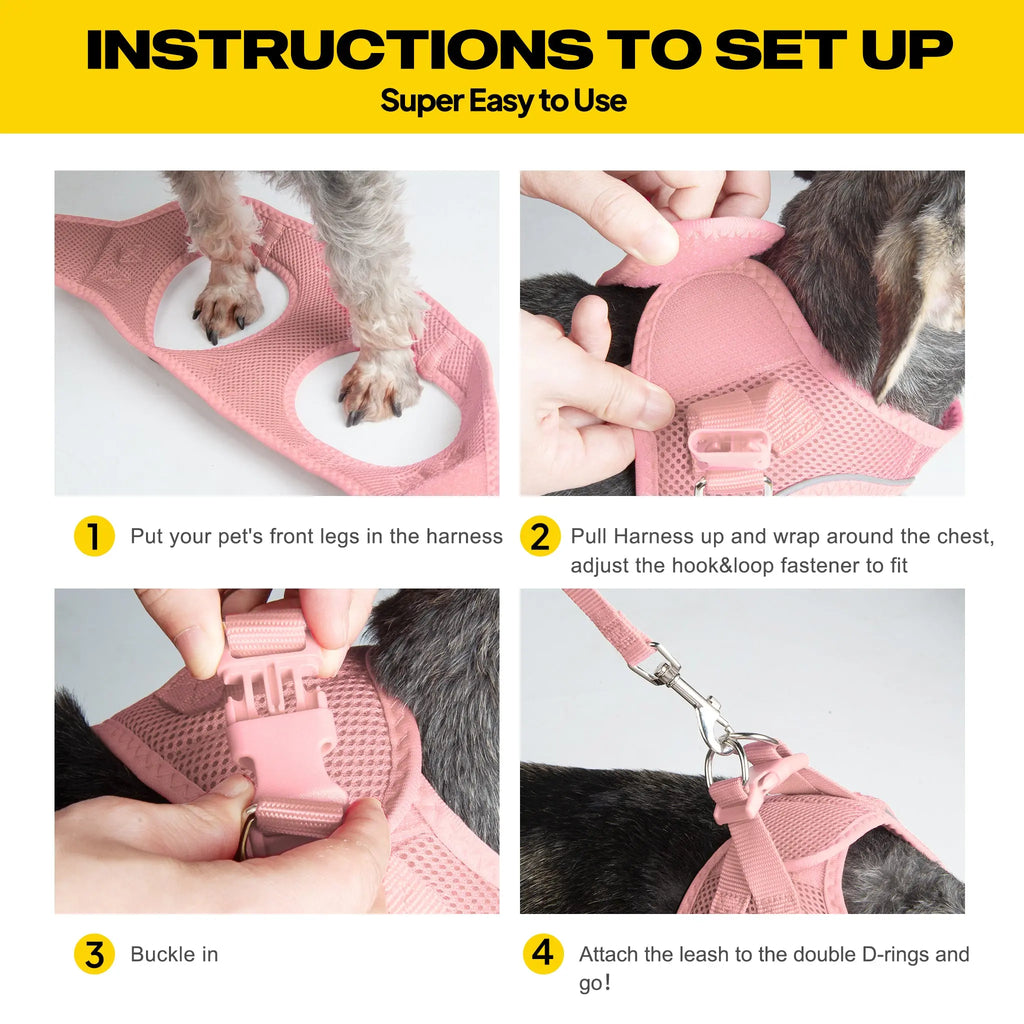 FIDA Kitten & Puppy Harness and Leash Set FIDA