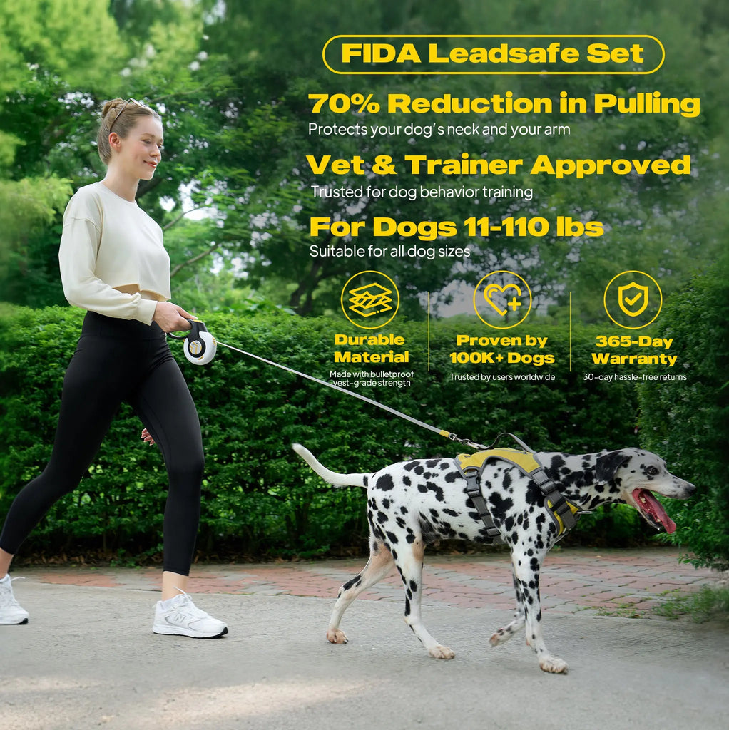 FIDA Leadsafe Set