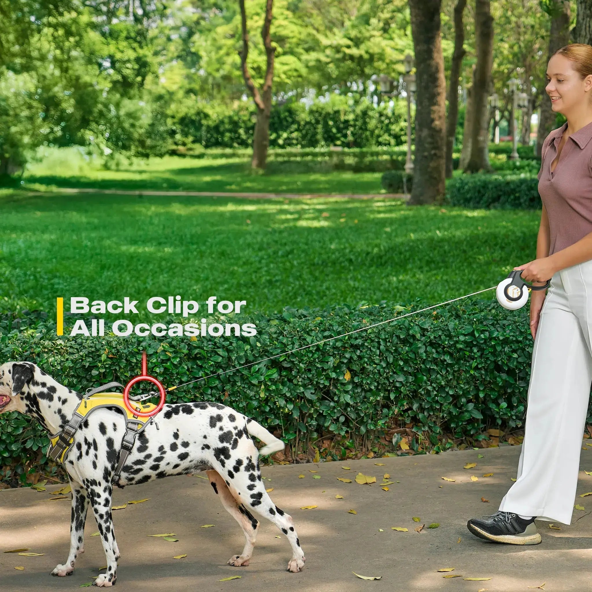 FIDA No Pull Harness FIDA