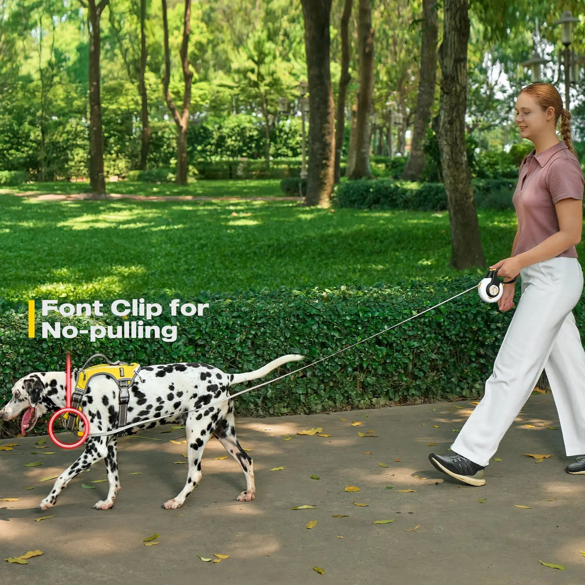 FIDA No Pull Harness FIDA