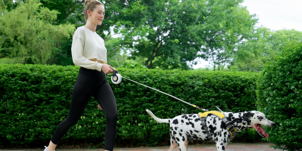 Fidapet - In Action - 2_副本.jpg