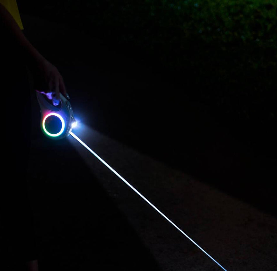 Retractable LED Lighted Leash