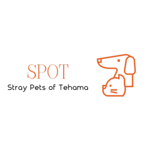 Stray Pets of Tehama