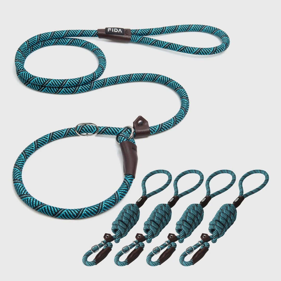 Fida Slip Lead Dog Leash 5 Pack Dog Training Leash