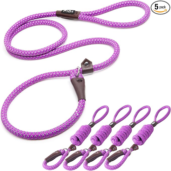Fida Durable Slip Lead Dog Leash