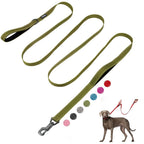 FIDA Heavy Duty dog leash 10 ft in green