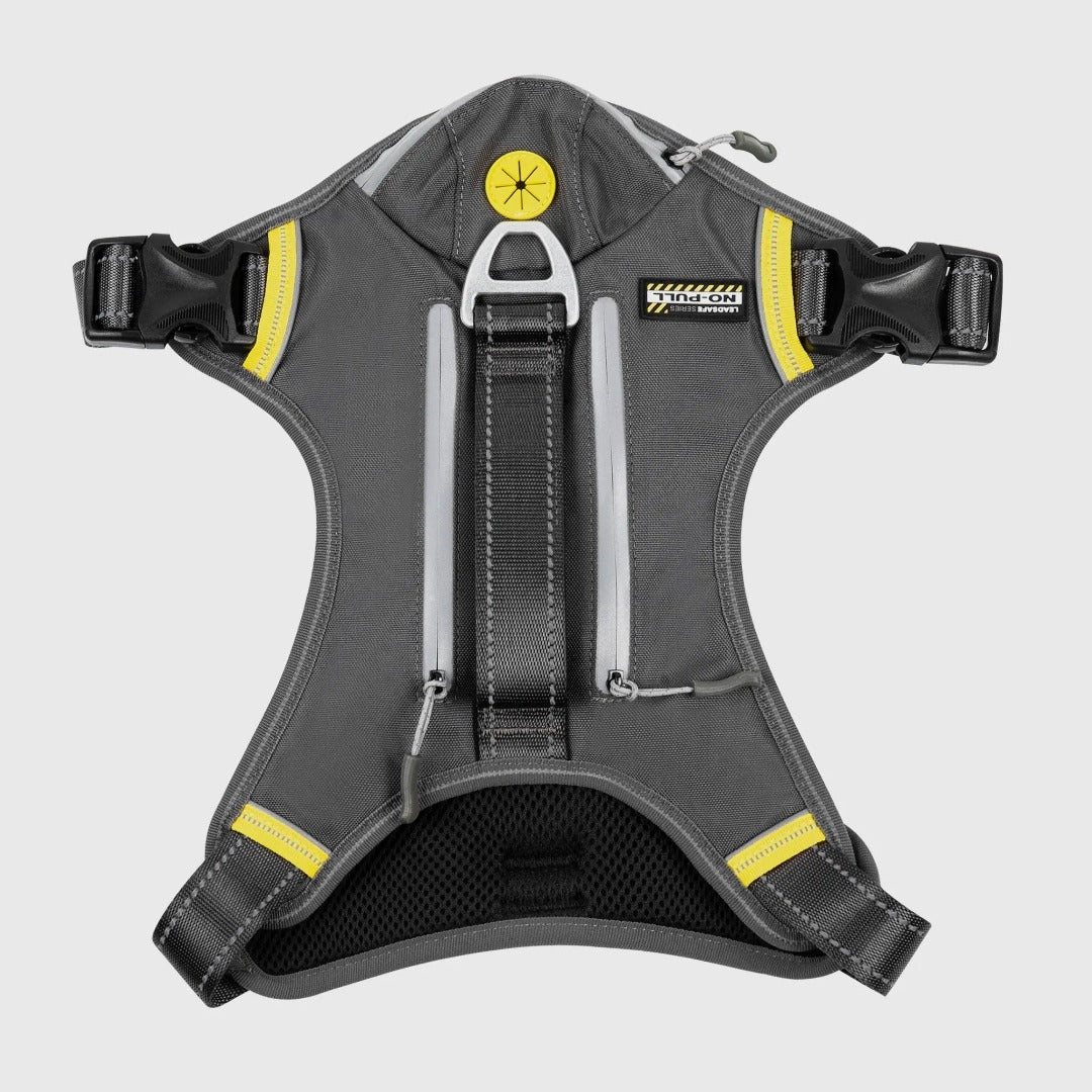 FIDA No Pull Harness