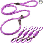 Fida Durable Slip Lead Dog Leash