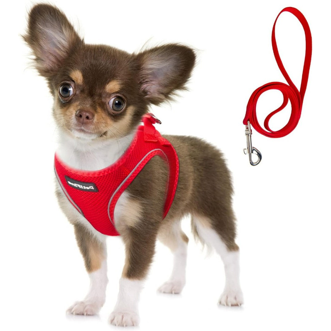 FIDA Comfy Pet Harness & Leash Set