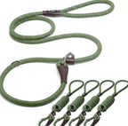 Fida Durable Slip Lead Dog Leash