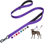 FIDA Heavy Duty dog leash in purple