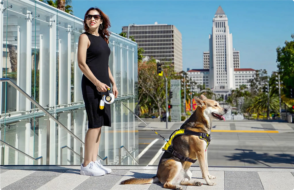 Pet safety products for outdoor adventures