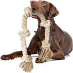 Chocolate Labrador holding the FIDA dog rope tug toy with two handles