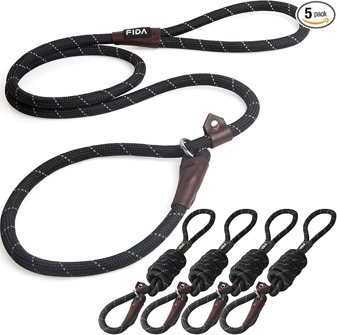 Fida Durable Slip Lead Dog Leash