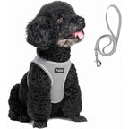 FIDA Comfy Pet Harness & Leash Set