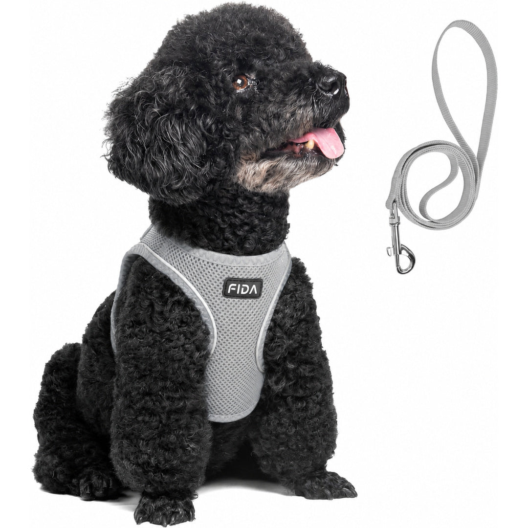 FIDA Comfy Pet Harness & Leash Set
