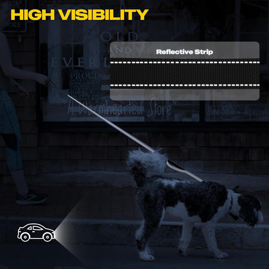 FIDA Heavy Duty Dog Leash