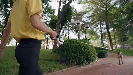 Engineered for Safer, Calmer Walks