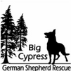 Award Logo
